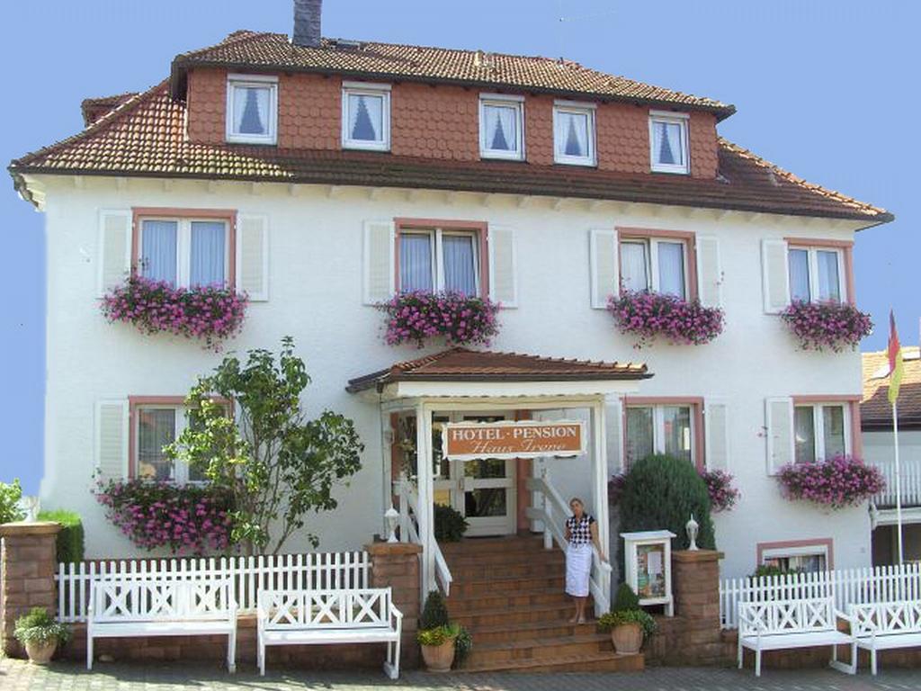 Hotel Irene Bad Konig Exterior photo