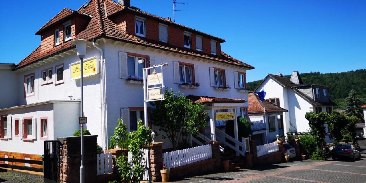 Hotel Irene Bad Konig Exterior photo